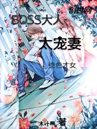 绝色才女:BOSS大人太宠妻