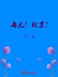 再见!北京
