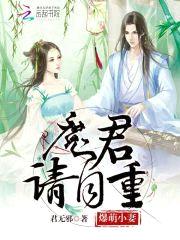 爆萌小妻:魔君,请自重