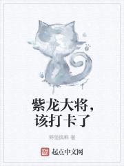 紫龙大将,该打卡了