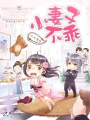 首席执行官,小妻子不乖