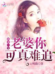 萌妻二宝,老婆你可真难追