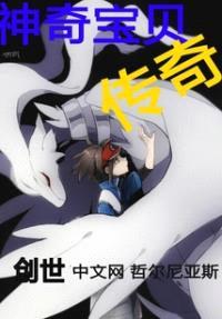 神奇宝贝:传奇