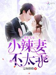 重生九零:小辣妻,不太乖