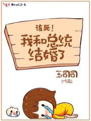 该死,我和总统结婚了!