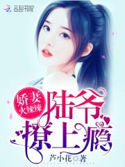 娇妻火辣辣:陆爷,撩上瘾!