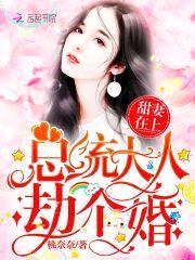 甜妻在上:总统大人,劫个婚!