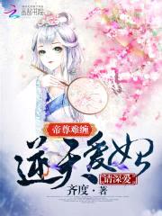 帝尊难缠:逆天爱妃,请深爱!