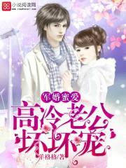 军婚蜜爱:高冷老公,坏坏宠
