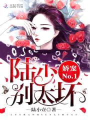 娇宠No.1:陆少,别太坏!