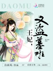 启禀王爷:王妃,又盗墓啦!