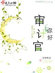 你好,审计官