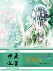 神王追妻:爱妃,别想逃