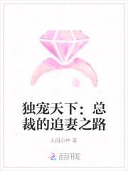 独宠天下:总裁的追妻之路