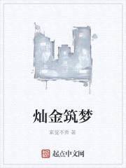 灿金筑梦