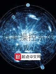 概率cao控系统
