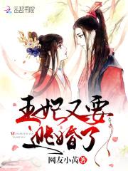 替身王妃：王爷，妾身不想嫁