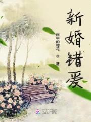 24K纯爱:CEO的错误婚姻
