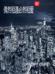 偶然相遇必然相爱