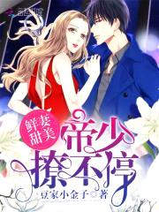 鲜妻甜美：帝少，撩不停！