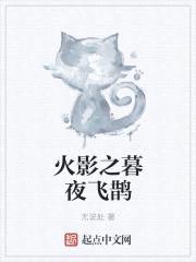 火影之暮夜飞鹊