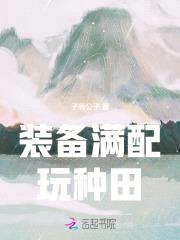 装备满配玩种田