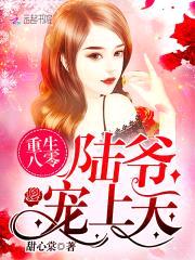 重生八零:陆爷,宠上天!