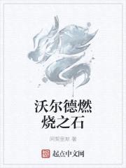 沃尔德传奇之燃烧的奇迹