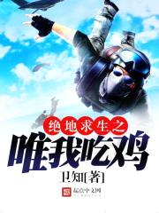 绝地求生之唯我吃鸡