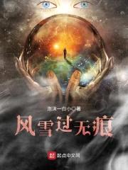风雪过无痕