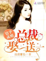 错孕成婚:总裁,娶一送一