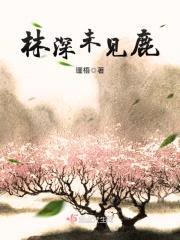 林深未见鹿