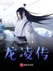 龙凌传