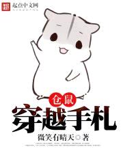 仓鼠穿越手札