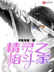 精灵之格斗家