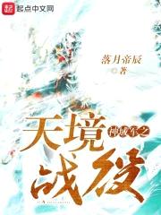 神域1之天境战役