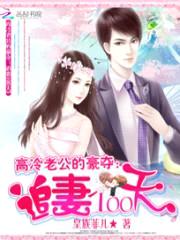 高冷老公的豪夺:追妻100天