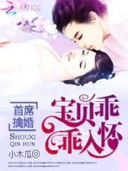 首席擒婚:宝贝乖乖入怀