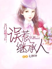 名门试婚77日:误惹继承人
