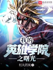 我的英雄学院之曙光