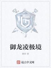 御龙凌极境