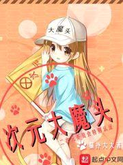 次元大魔头