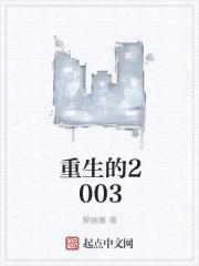 重生的2003