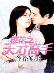校花之天才高手