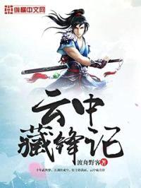云中藏锋记