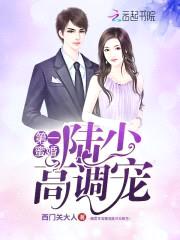 重生军婚:陆少高调宠