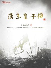 汉末皇子辩