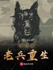 抗战之老兵重生