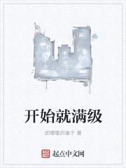 开始就满级