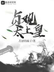 贞观太上皇